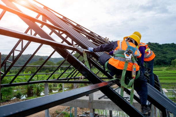 Best Roof Gutter Cleaning  in Landrum, SC