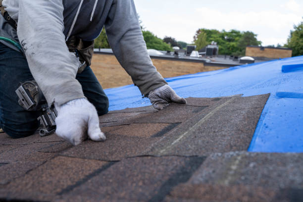 Quick and Trustworthy Emergency Roof Repair Services in Landrum, SC