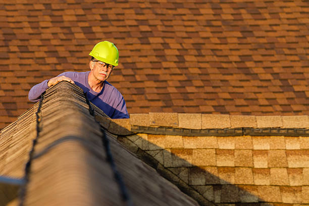 Roof Gutter Cleaning in Landrum, SC