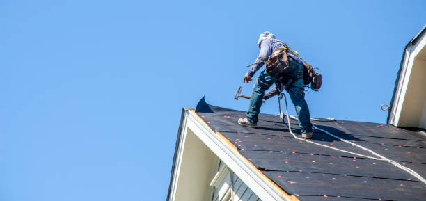 Best Roof Gutter Cleaning  in Landrum, SC